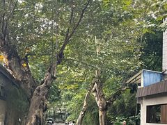 -院8里·少城记忆老川菜(宽窄巷子店)