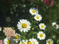 -东方体育中心(地铁站)