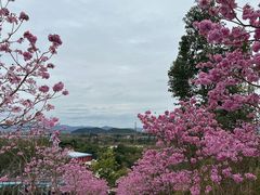 -盈香心动乐园