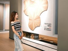 -红星美凯龙北京至尊MALL(东四环中路店)