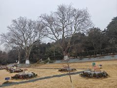 -青岛德国总督楼旧址博物馆