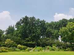 -上海醉白池公园