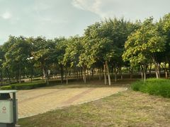 -丁香湖公园