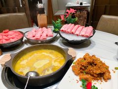 花胶浓汤鸡锅-新一哥粤菜火锅(瑞金店)