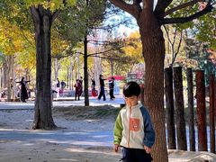 -回龙观体育文化公园