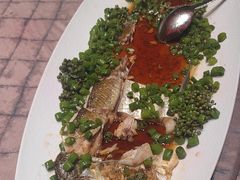 -新光酒家·河豚·海鲜·蟹料理(浦东店)
