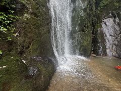 -大围山国家森林公园