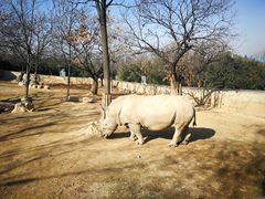 -西安秦岭野生动物园