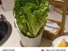 -浩爷羊蝎子火锅(双榆树店)