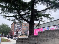 -Salud撒露欧洲冻酸奶(798艺术区店)
