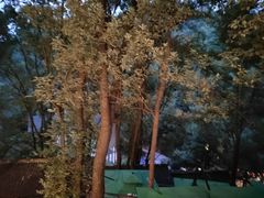 -巴倒烫陆派火锅山庄(南山总店)