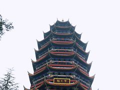 -铁山坪森林公园