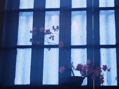 -31号公馆(黄兴广场白果园店)