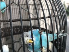 -老味道民宿(栈桥店)