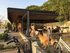 -星巴克(大濠公园店)