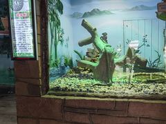 -辛玛王国游乐园