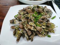 -四季美蚝皇