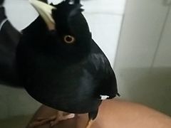 -紫荆城食品交易中心(华强北店)