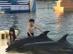 -秦皇岛乐岛海洋王国