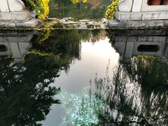 -趵突泉景区