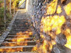 -巴黎贝甜(五道口店)