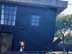 -金山农民画村-枫泾波兰倒置屋