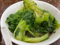 鸭红菜上全都生菜-陈光记烧腊店(罗保博士街店)