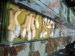 android_upload_pic-新海利海鲜城·41年珠海老字号(夏湾店)