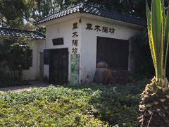 -晓港公园