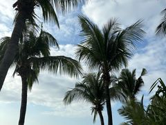 -三亚海棠湾万丽度假酒店