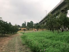 -秀丽东方