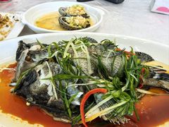 老虎斑-众味海鲜大排档·活海鲜·潮汕味(南澳店)