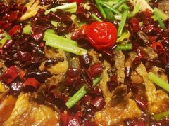 -老板恋上鱼(高新万达店)