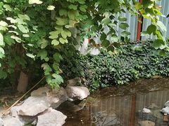 -忆江南·生态餐饮宴会酒店