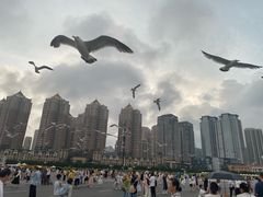 -星海广场