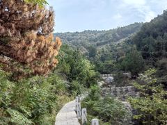 -涂山风景区