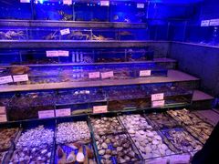 水产区-青蓬蒸汽海鲜·深圳老字号·团建聚会(壹方城店)
