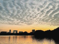 -海珠湖公园
