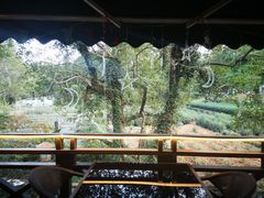 -随意茶庄·地道杭帮农家菜(梅家坞店)