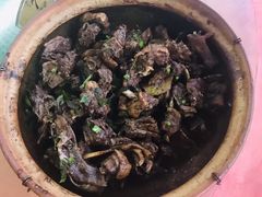 -天强农家菜馆