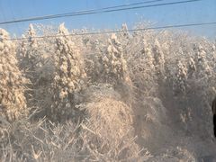 -西岭雪山大飞水景区