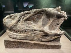 -自贡恐龙博物馆