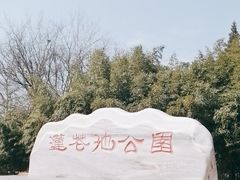 -莲花池公园