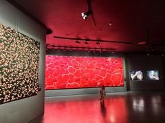 -罗红摄影艺术馆