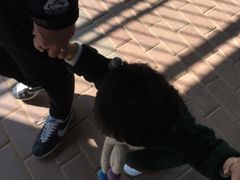 -昆明动物园