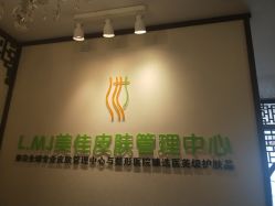 -L.MJ轻奢皮肤管理中心