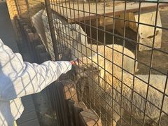 -太原动物园