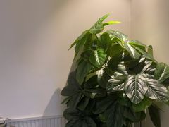 -北里·4k影院式足疗SPA馆(观音桥店)