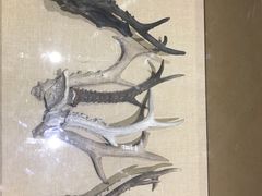 -二连浩特国家地质公园