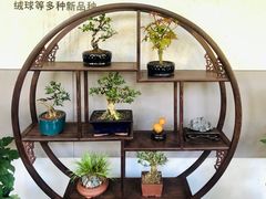 -杭州植物园